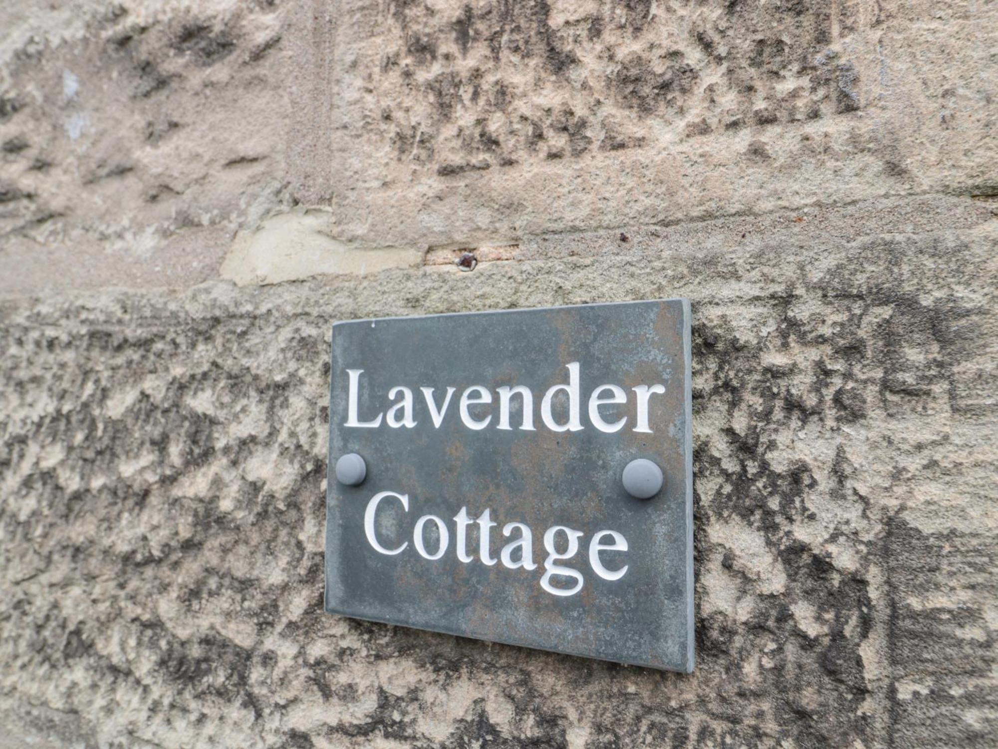 Lavender Cottage Alnwick Ngoại thất bức ảnh